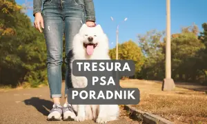 Szczęśliwy biały pies siedzi obok właściciela. Poradnik "Tresura psa" pomoże Ci jak wychować psa.