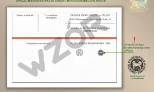 Dokument potwierdzający rodowód psa ze Związku Kynologicznego w Polsce, z logo FCI.