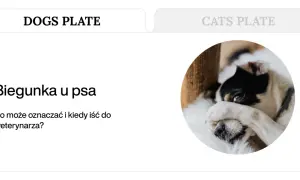 Chory piesek z łapką na oku. Czy pies może mieć jelitówkę? Dowiedz się, co oznacza biegunka u psa i kiedy wizyta u weterynarza jest konieczna.