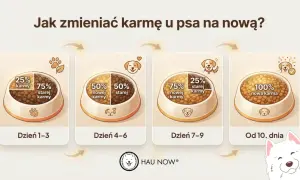 Grafika pokazuje, jak stopniowo wprowadzać nową karmę u psa: 25% nowej karmy przez 3 dni, potem 50/50, następnie 75% nowej karmy, aż do 100% nowej karmy od 10. dnia.
