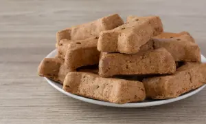 Stos ciastek dla psa w kształcie kości na białym talerzyku. Idealne na domowe przysmaki, gdy szukasz przepisu na ciastka dla psa.