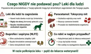 Paracetamol jest toksyczny dla psów, uszkadza wątrobę i nerki. Nigdy nie podawaj go swojemu pupilowi.