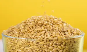 Złote siemię lniane w szklance, idealne do dodania do karmy psa. Czy pies może jeść siemię lniane? Tak, w umiarkowanych ilościach!