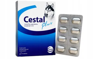 Opakowanie Cestal Plus dla psa, zawierające 8 tabletek. Informacje o cimalgex dawkowanie dla psa są na opakowaniu.