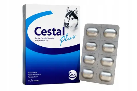 Opakowanie Cestal Plus dla psa, zawierające 8 tabletek. Informacje o cimalgex dawkowanie dla psa są na opakowaniu.