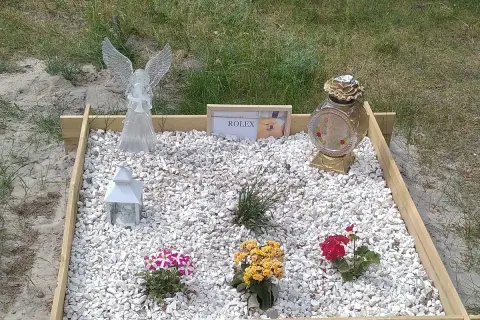 Grzebowisko dla zwierząt z aniołem, lampionem, wazonem i tabliczką z napisem "ROLEX" oraz zdjęciem psa.