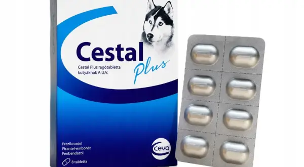 Opakowanie Cestal Plus dla psa, zawierające 8 tabletek. Informacje o cimalgex dawkowanie dla psa są na opakowaniu.
