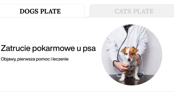Weterynarz bada psa, który może mieć objawy zatrucia pokarmowego. Po jakim czasie pojawiają się symptomy?