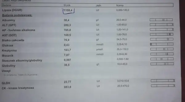 Wynik lipazy u psa 1158,4 U/I znacznie przekracza normę 0-120 U/I, co może wskazywać na problemy zdrowotne.