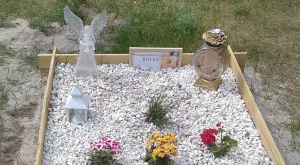 Grzebowisko dla zwierząt z aniołem, lampionem, wazonem i tabliczką z napisem "ROLEX" oraz zdjęciem psa.