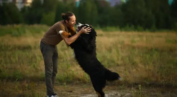 Radosny pies skacze na człowieka, witając go z entuzjazmem na tle pól i drzew.