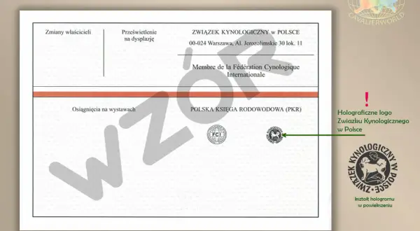Dokument potwierdzający rodowód psa ze Związku Kynologicznego w Polsce, z logo FCI.