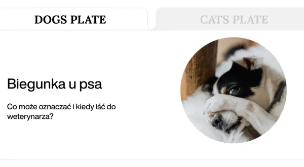 Chory piesek z łapką na oku. Czy pies może mieć jelitówkę? Dowiedz się, co oznacza biegunka u psa i kiedy wizyta u weterynarza jest konieczna.