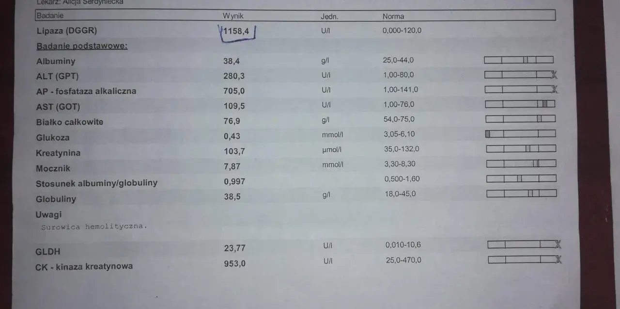 Wynik lipazy u psa 1158,4 U/I znacznie przekracza normę 0-120 U/I, co może wskazywać na problemy zdrowotne.