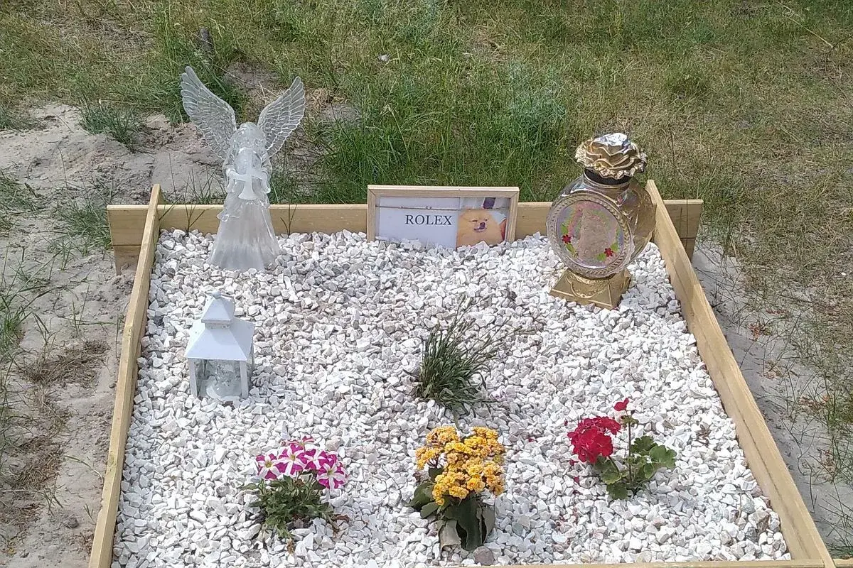 Grzebowisko dla zwierząt z aniołem, lampionem, wazonem i tabliczką z napisem "ROLEX" oraz zdjęciem psa.