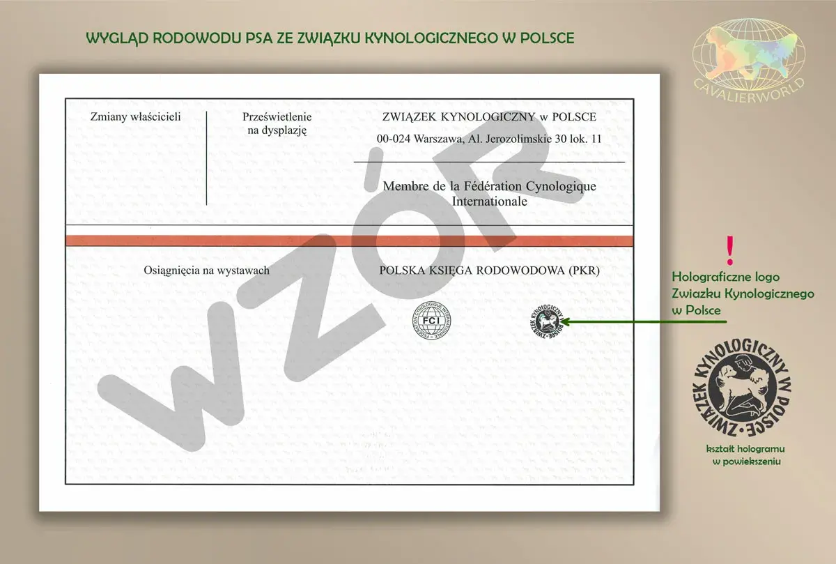 Dokument potwierdzający rodowód psa ze Związku Kynologicznego w Polsce, z logo FCI.