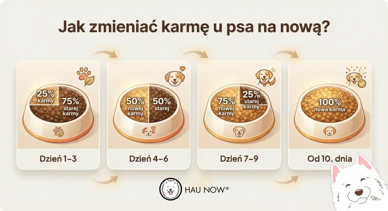 Grafika pokazuje, jak stopniowo wprowadzać nową karmę u psa: 25% nowej karmy przez 3 dni, potem 50/50, następnie 75% nowej karmy, aż do 100% nowej karmy od 10. dnia.