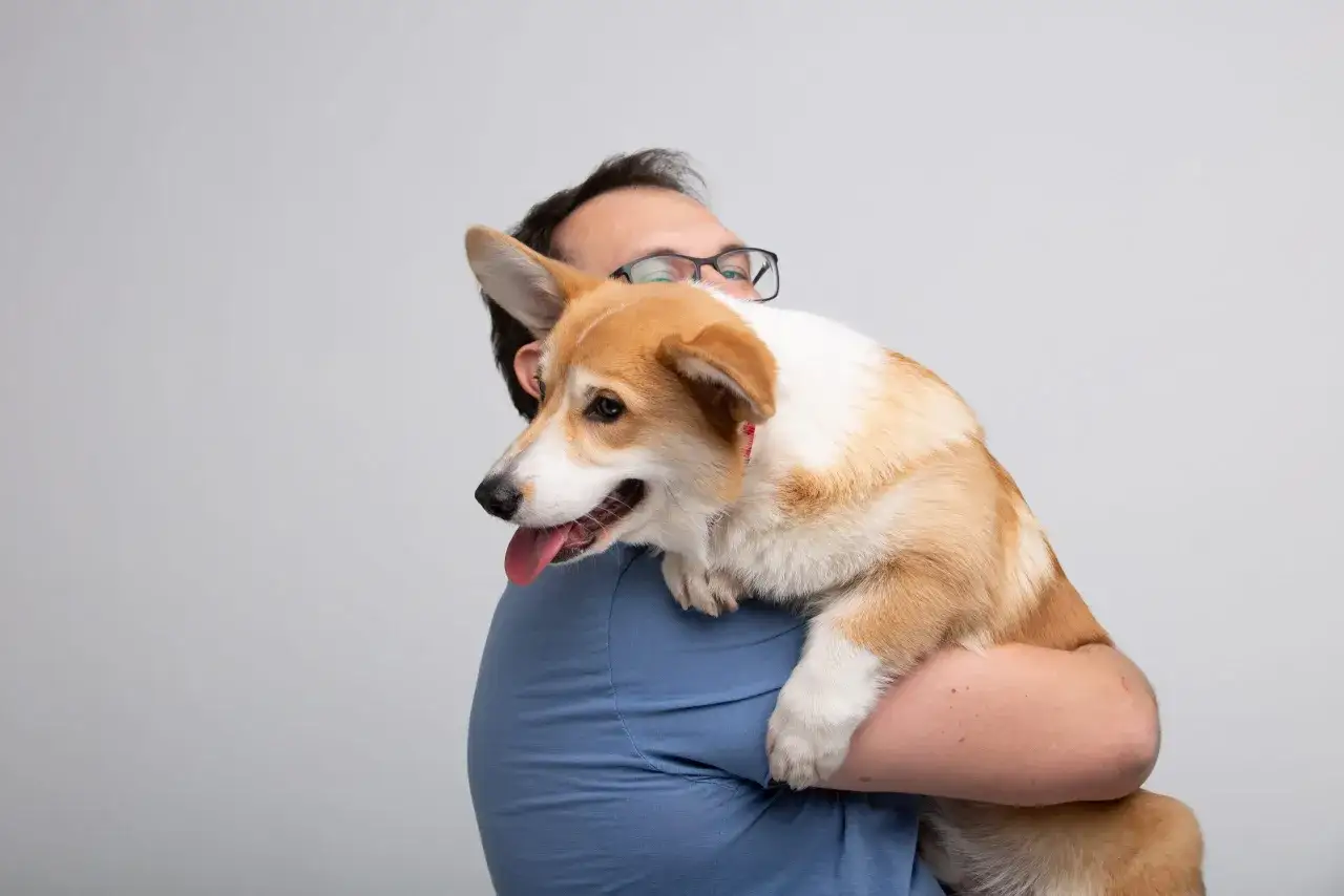 Mężczyzna w okularach tuli przestraszonego corgi. Może to wyjaśniać, dlaczego pies boi się wszystkiego – potrzebuje więcej czułości.