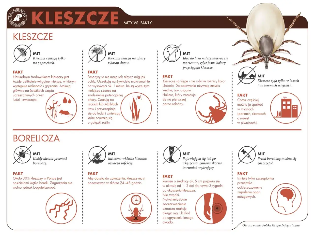 W Polsce występują różne gatunki kleszczy, które mogą przenosić choroby. Infografika obala mity i przedstawia fakty o kleszczach.
