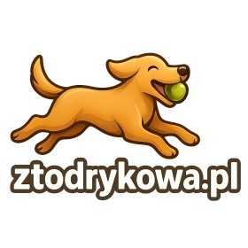 ztodrykowa.pl
