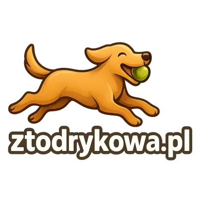 Logo ztodrykowa.pl