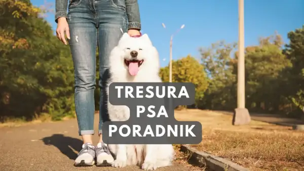 Szczęśliwy biały pies siedzi obok właściciela. Poradnik "Tresura psa" pomoże Ci jak wychować psa.