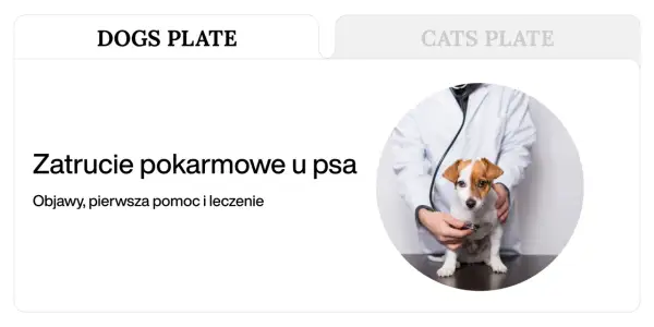 Weterynarz bada psa, który może mieć objawy zatrucia pokarmowego. Po jakim czasie pojawiają się symptomy?