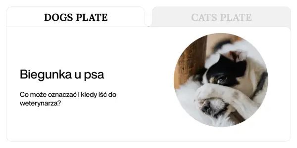 Chory piesek z łapką na oku. Czy pies może mieć jelitówkę? Dowiedz się, co oznacza biegunka u psa i kiedy wizyta u weterynarza jest konieczna.