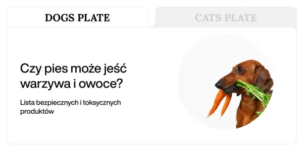 Jamnik z marchewką w pysku. Czy pies może jeść ludzkiego jedzenia? Lista bezpiecznych produktów.